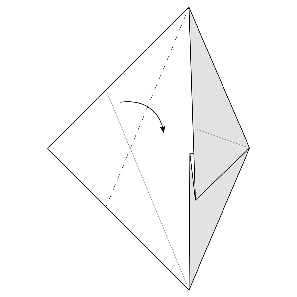 Fish Base Step 10