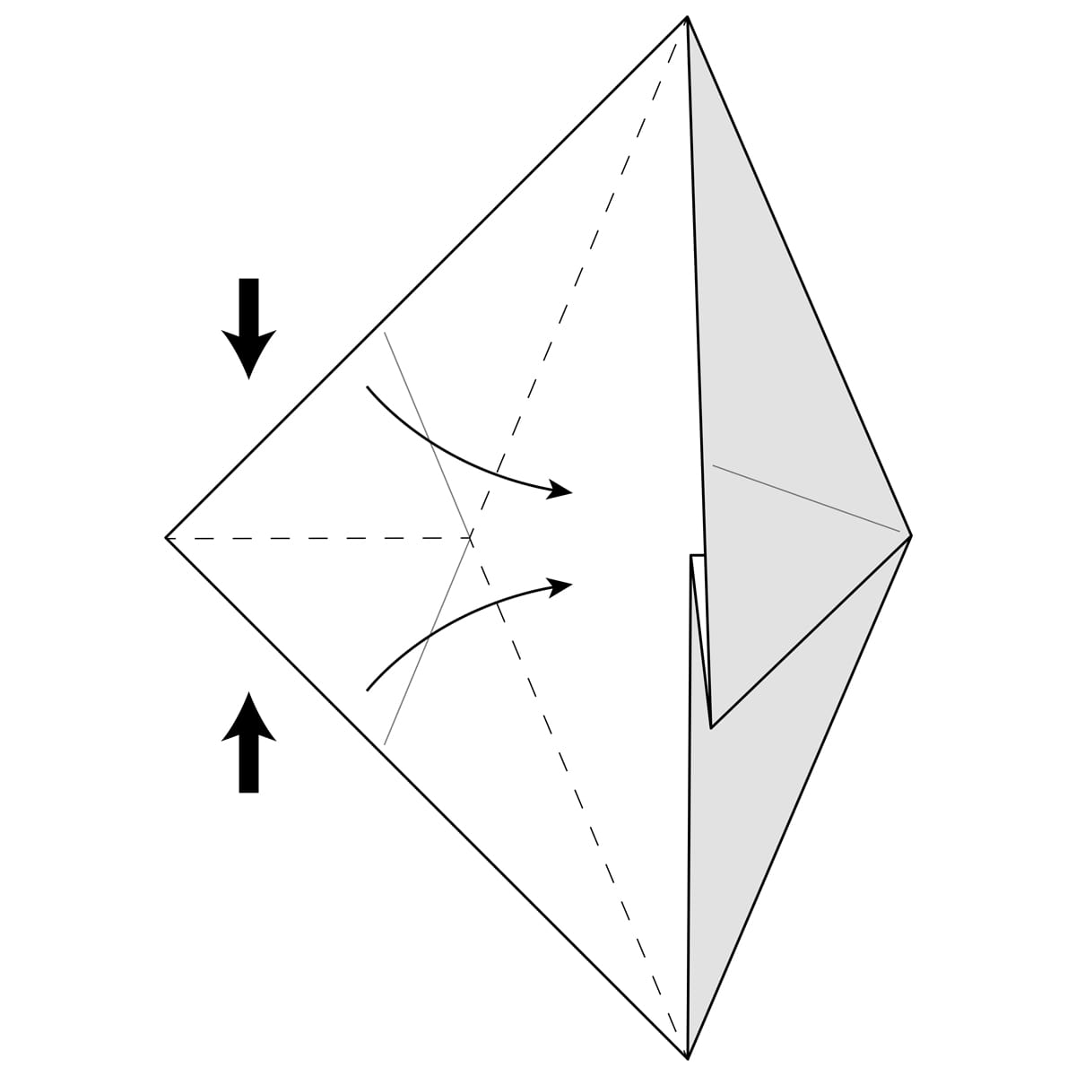 Fish Base Step 12
