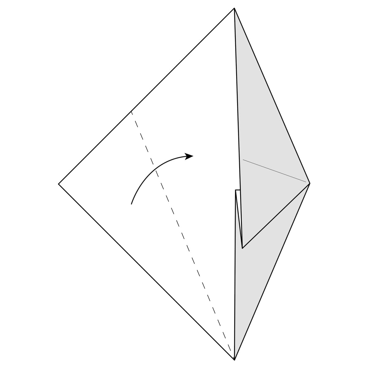 Fish Base Step 8