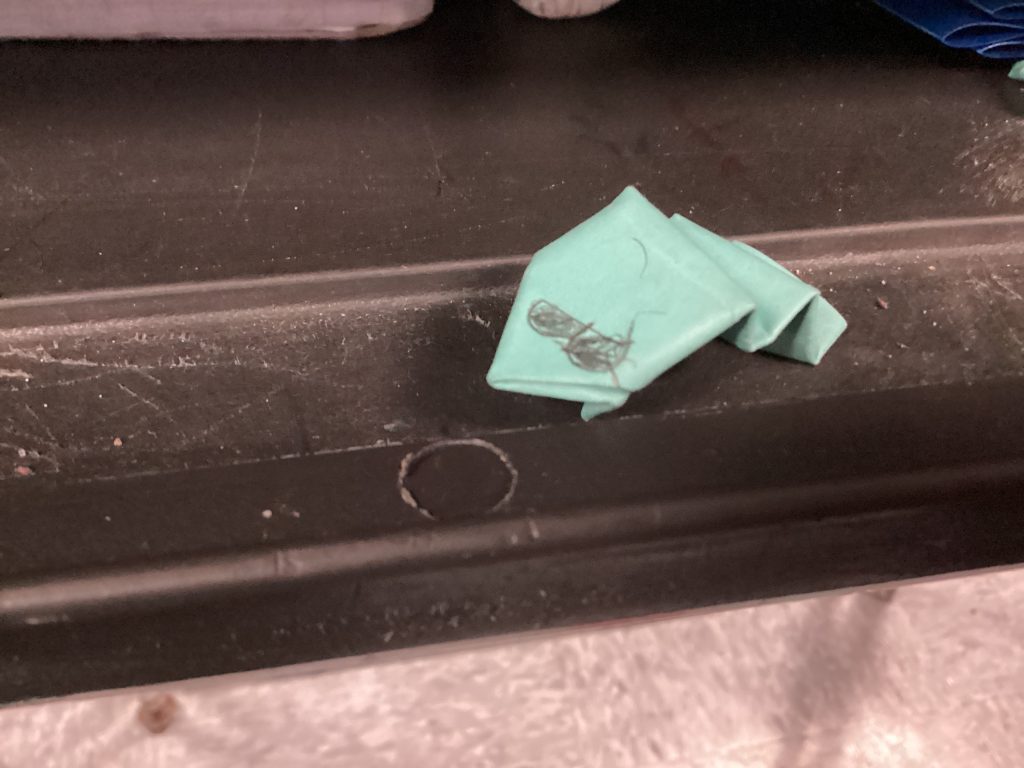 origami frog with glasses
