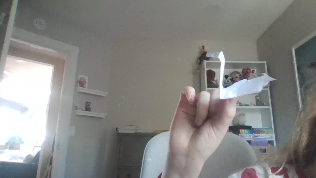 my first origami swan