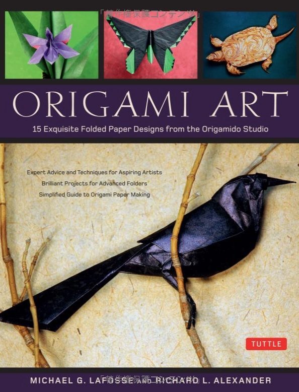 Origami Art book cover